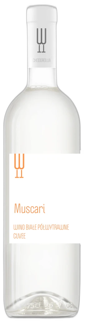 Muscari
