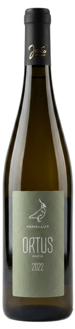 Ortus Akacja