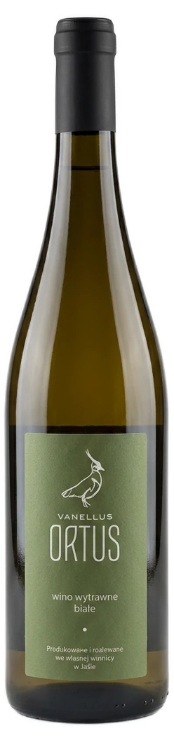 Ortus